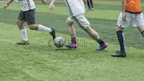 重庆体彩网 资讯 113353 6nl