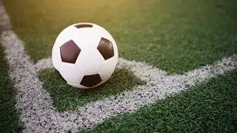 【红牡丹双色球】第2026010期独家选号攻略：揭秘红蓝号码秘籍，昨日战绩大揭秘！